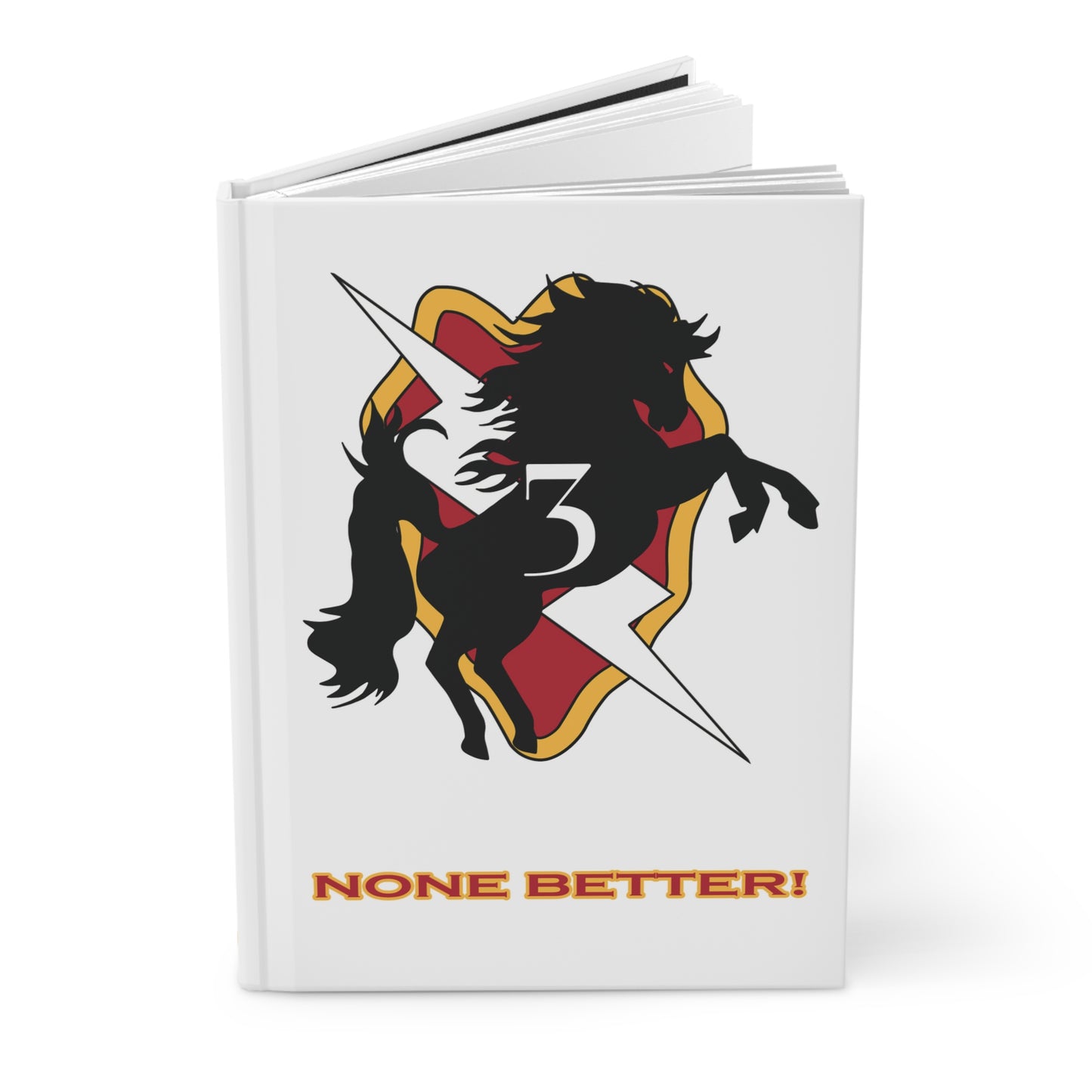 3IBCT "Broncos" AOR Leader Book